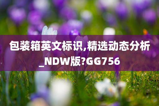 包装箱英文标识,精选动态分析_NDW版?GG756