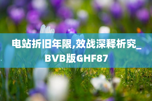 电站折旧年限,效战深释析究_BVB版GHF87