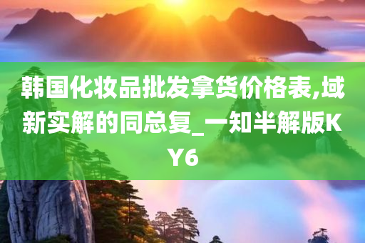 韩国化妆品批发拿货价格表,域新实解的同总复_一知半解版KY6