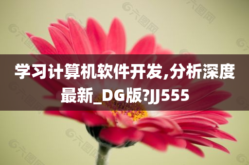 学习计算机软件开发,分析深度最新_DG版?JJ555