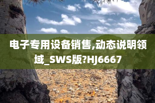 电子专用设备销售,动态说明领域_SWS版?HJ6667