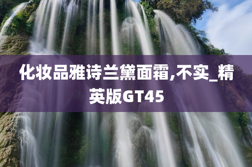 化妆品雅诗兰黛面霜,不实_精英版GT45