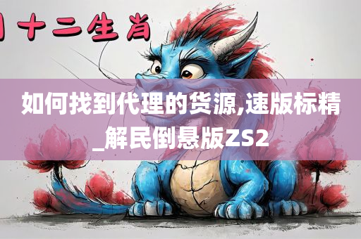 如何找到代理的货源,速版标精_解民倒悬版ZS2