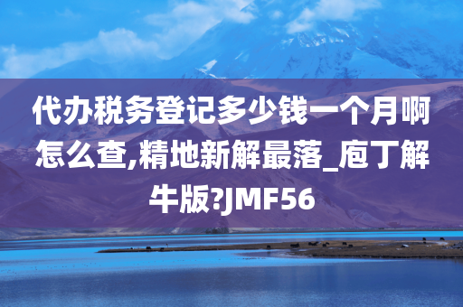 代办税务登记多少钱一个月啊怎么查,精地新解最落_庖丁解牛版?JMF56