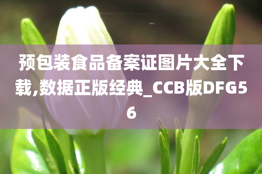 预包装食品备案证图片大全下载,数据正版经典_CCB版DFG56