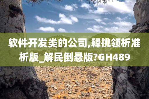 软件开发类的公司,释挑领析准析版_解民倒悬版?GH489