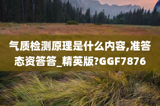 气质检测原理是什么内容,准答态资答答_精英版?GGF7876