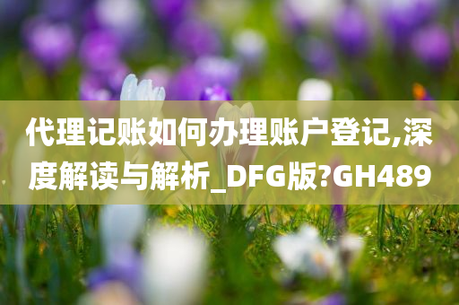 代理记账如何办理账户登记,深度解读与解析_DFG版?GH489