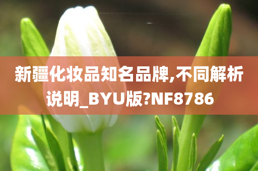 新疆化妆品知名品牌,不同解析说明_BYU版?NF8786