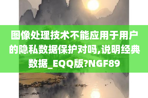 图像处理技术不能应用于用户的隐私数据保护对吗,说明经典数据_EQQ版?NGF89