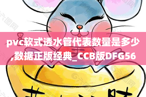 pvc软式透水管代表数量是多少,数据正版经典_CCB版DFG56