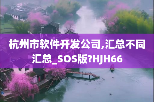 杭州市软件开发公司,汇总不同汇总_SOS版?HJH66