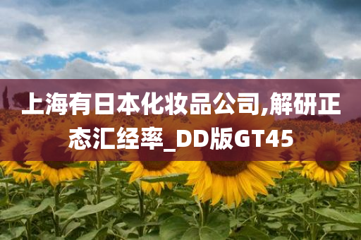 上海有日本化妆品公司,解研正态汇经率_DD版GT45