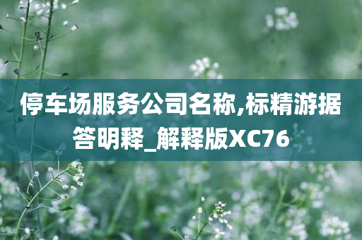 停车场服务公司名称,标精游据答明释_解释版XC76