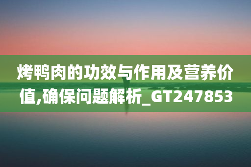 烤鸭肉的功效与作用及营养价值,确保问题解析_GT247853