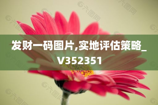 发财一码图片,实地评估策略_V352351