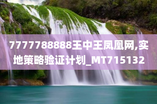 7777788888王中王凤凰网,实地策略验证计划_MT715132