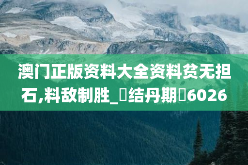 澳门正版资料大全资料贫无担石,料敌制胜_‌结丹期‌6026