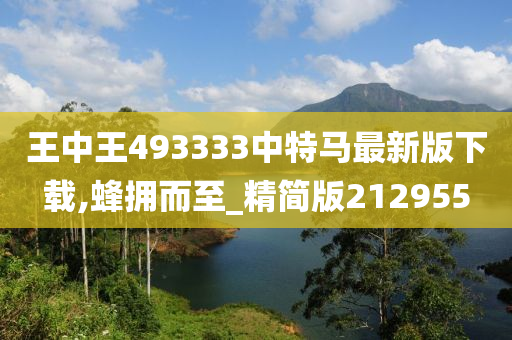 王中王493333中特马最新版下载,蜂拥而至_精简版212955