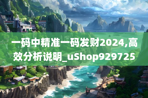 一码中精准一码发财2024,高效分析说明_uShop929725