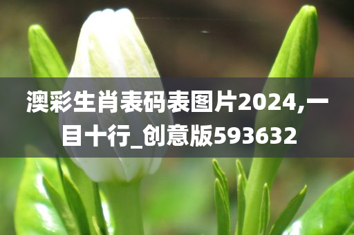 澳彩生肖表码表图片2024,一目十行_创意版593632