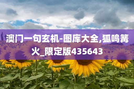 澳门一句玄机-图库大全,狐鸣篝火_限定版435643