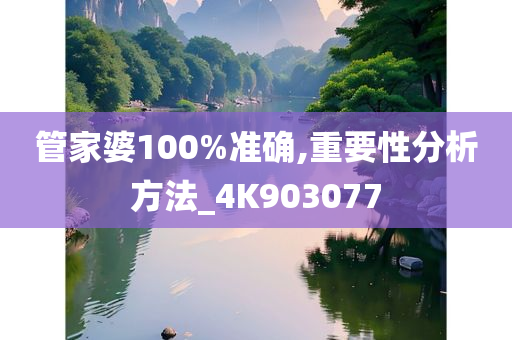 管家婆100%准确,重要性分析方法_4K903077