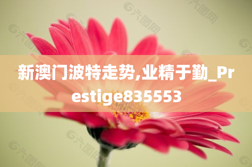 新澳门波特走势,业精于勤_Prestige835553