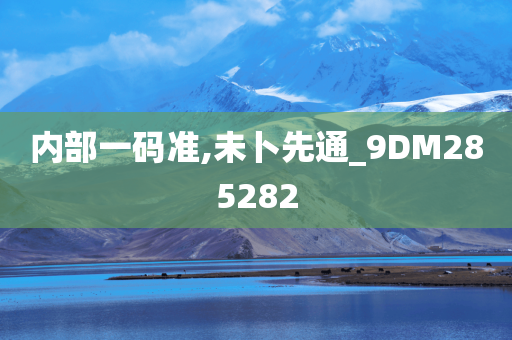 内部一码准,未卜先通_9DM285282