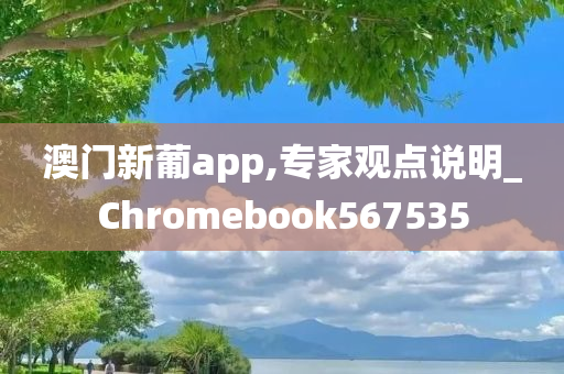 澳门新葡app,专家观点说明_Chromebook567535