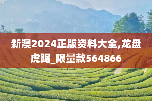 新澳2024正版资料大全,龙盘虎踞_限量款564866