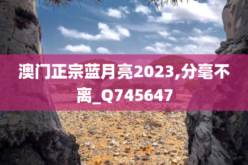 澳门正宗蓝月亮2023,分毫不离_Q745647