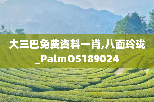 大三巴免费资料一肖,八面玲珑_PalmOS189024