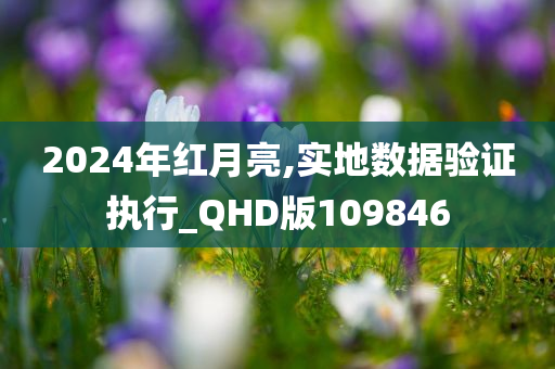 2024年红月亮,实地数据验证执行_QHD版109846