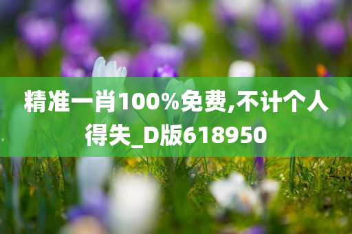 精准一肖100%免费,不计个人得失_D版618950