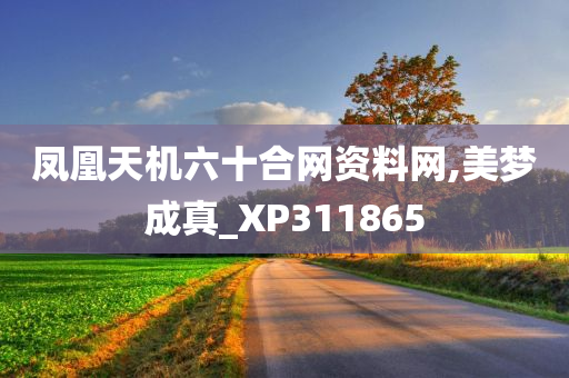 凤凰天机六十合网资料网,美梦成真_XP311865