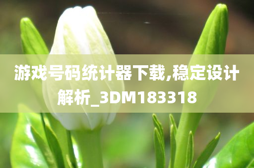 游戏号码统计器下载,稳定设计解析_3DM183318