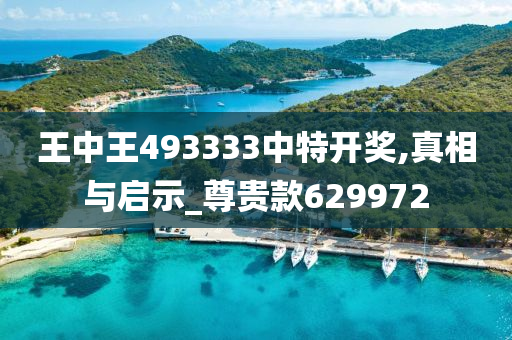 王中王493333中特开奖,真相与启示_尊贵款629972