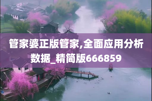 管家婆正版管家,全面应用分析数据_精简版666859