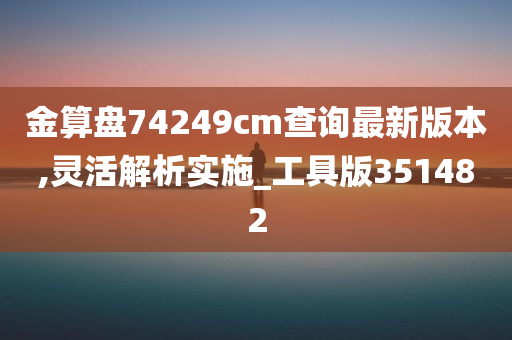 金算盘74249cm查询最新版本,灵活解析实施_工具版351482