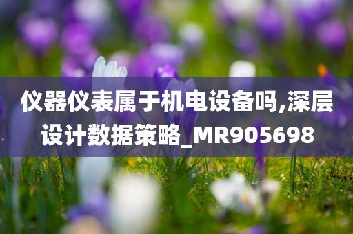 仪器仪表属于机电设备吗,深层设计数据策略_MR905698