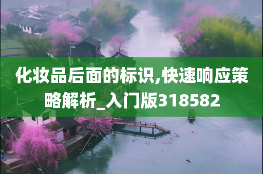 化妆品后面的标识,快速响应策略解析_入门版318582