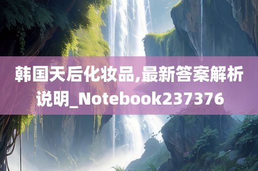 韩国天后化妆品,最新答案解析说明_Notebook237376