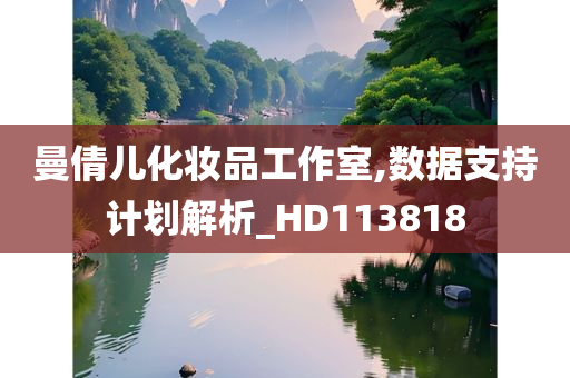 曼倩儿化妆品工作室,数据支持计划解析_HD113818