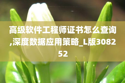 高级软件工程师证书怎么查询,深度数据应用策略_L版308252