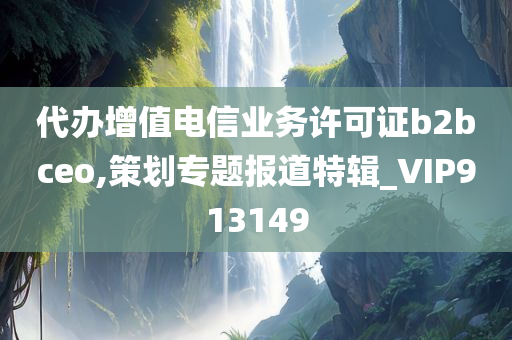 代办增值电信业务许可证b2bceo,策划专题报道特辑_VIP913149