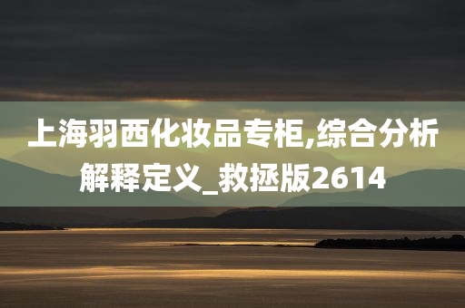 上海羽西化妆品专柜,综合分析解释定义_救拯版2614