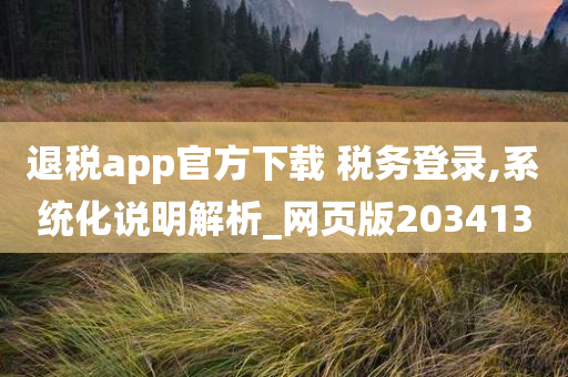 退税app官方下载 税务登录,系统化说明解析_网页版203413