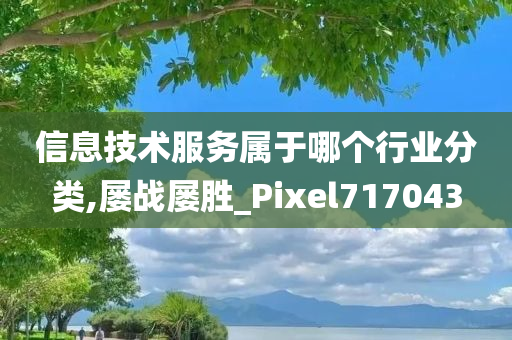 信息技术服务属于哪个行业分类,屡战屡胜_Pixel717043