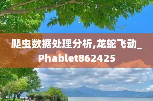 爬虫数据处理分析,龙蛇飞动_Phablet862425